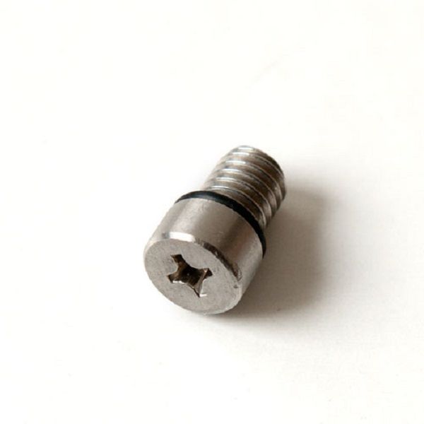 FANATIC   COBRA Airvalve screw + rubber ring (1 )-