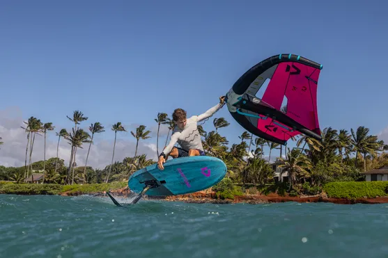 DUOTONE ���� Foil Wing Unit 04.5m (42250-3519) 25 (C04 pink/dark-grey)-