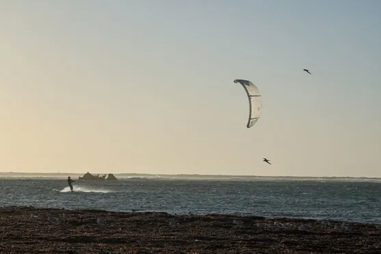 DUOTONE KITE ���� Evo Concept Blue 2025 (���. ������) 13 m (44250-3033)-