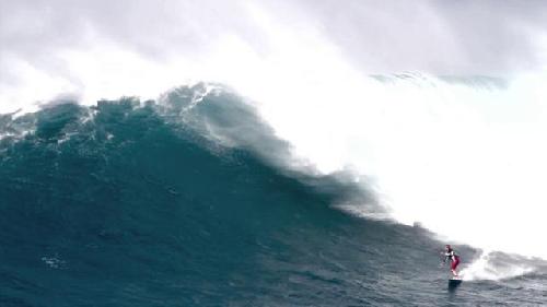    Jaws