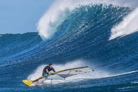 DUOTONE WIND ����� ������� Grip 4 SLS 99 (14240-1001) 24-