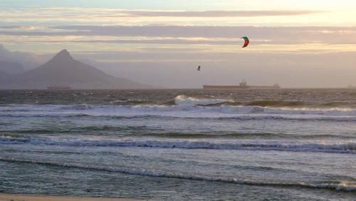 ���� � ��������� � ������� ����� �� Tom Court